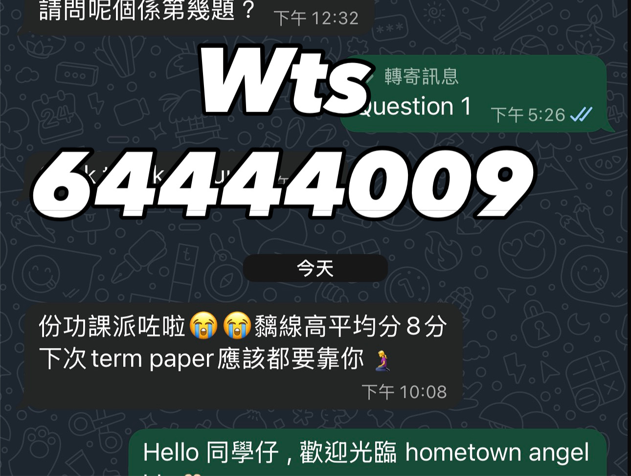 Review 13