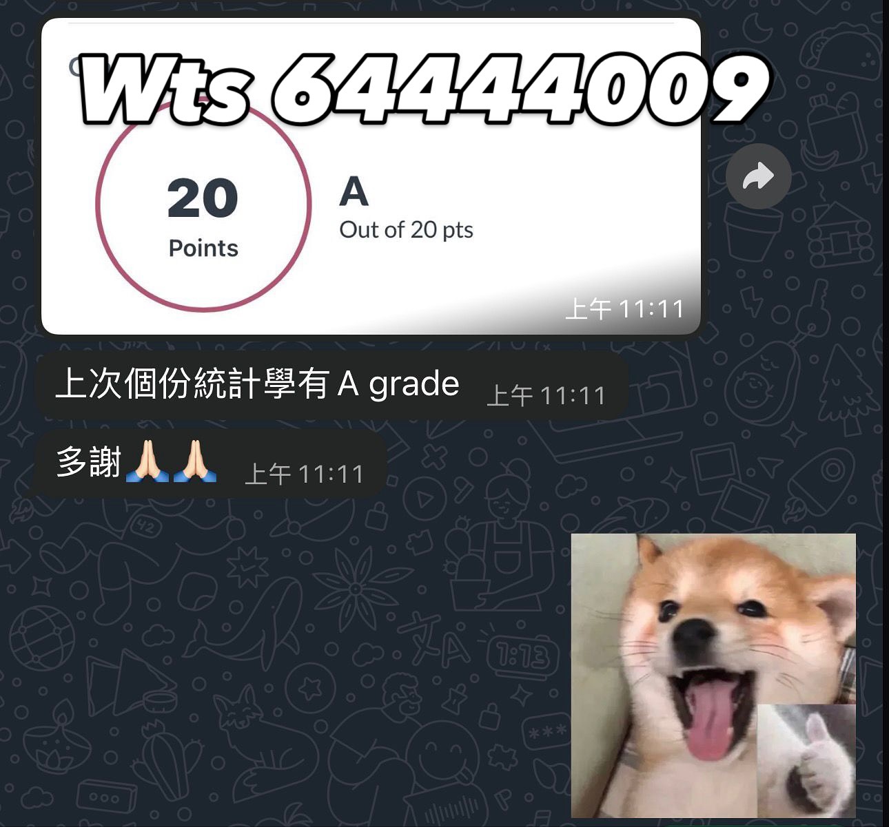 Review 17